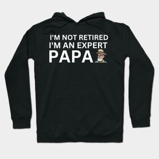 Expert Papa: I'm Not Retired, I'm Experienced Hoodie